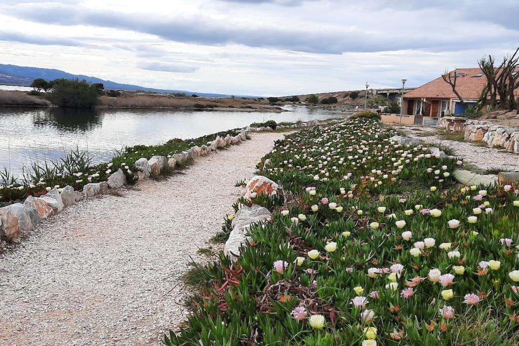 Maisonnette Entre Etang Et Plage ルカート エクステリア 写真